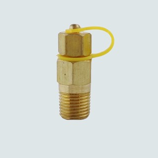 Brass Test Plug for Temperature and Pressure Test