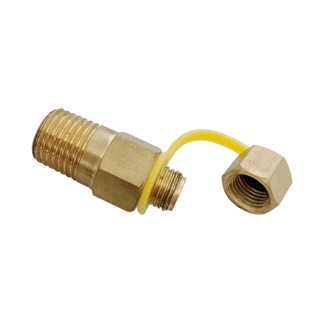 Brass Test Plug for Temperature and Pressure Test