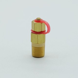 Brass Test Plug