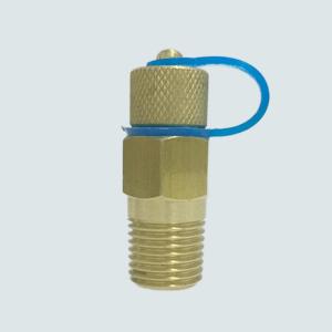 DZR Brass Test Plug